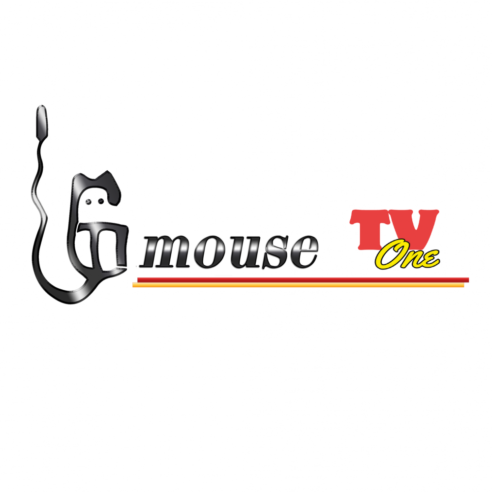 MouseTV One.  Mensualiad $150.00 1 Dispositivo, $200.00 hasta 3 Dispositivos